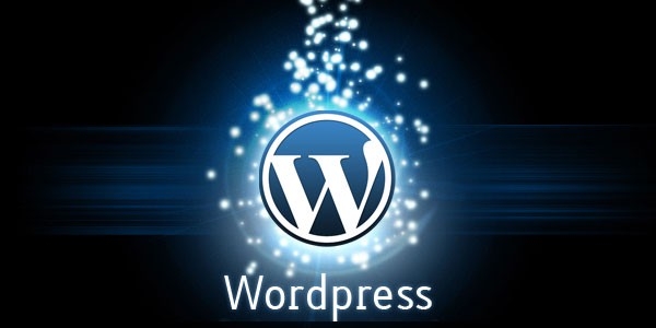 WordPress Pros & Cons
